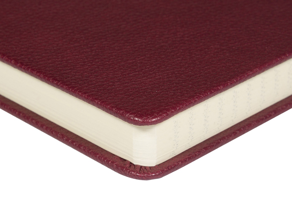 Ежедневник недатированный А5 Loft, бордовый-4