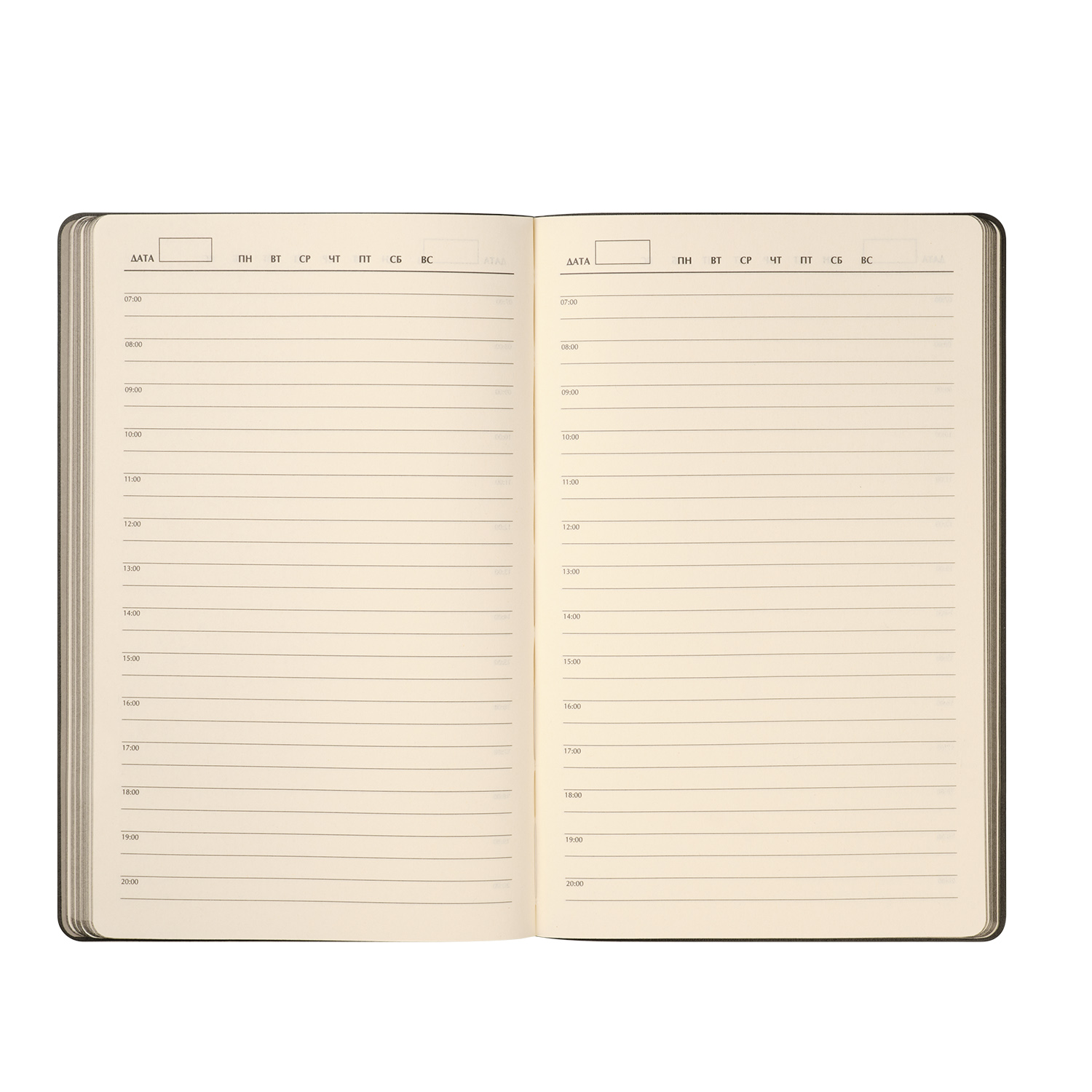 Ежедневник Rain недатированный, черный (без упаковки, без стикера)-8