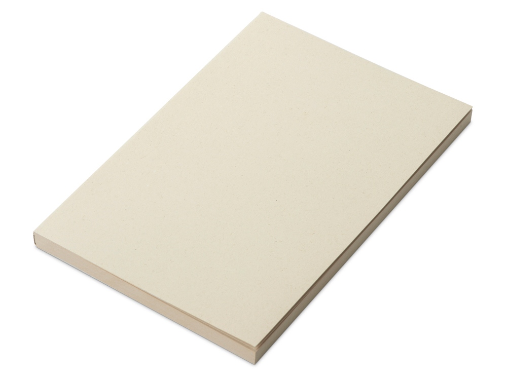 Блокнот А5 Adiantum из переработанного тростника, 80 листов, гибкая обложка, натуральный-0