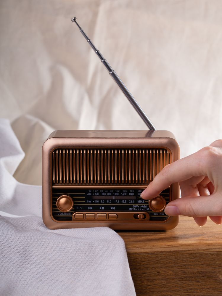 Bluetooth-колонка с радио Beatnik, коричневая-6