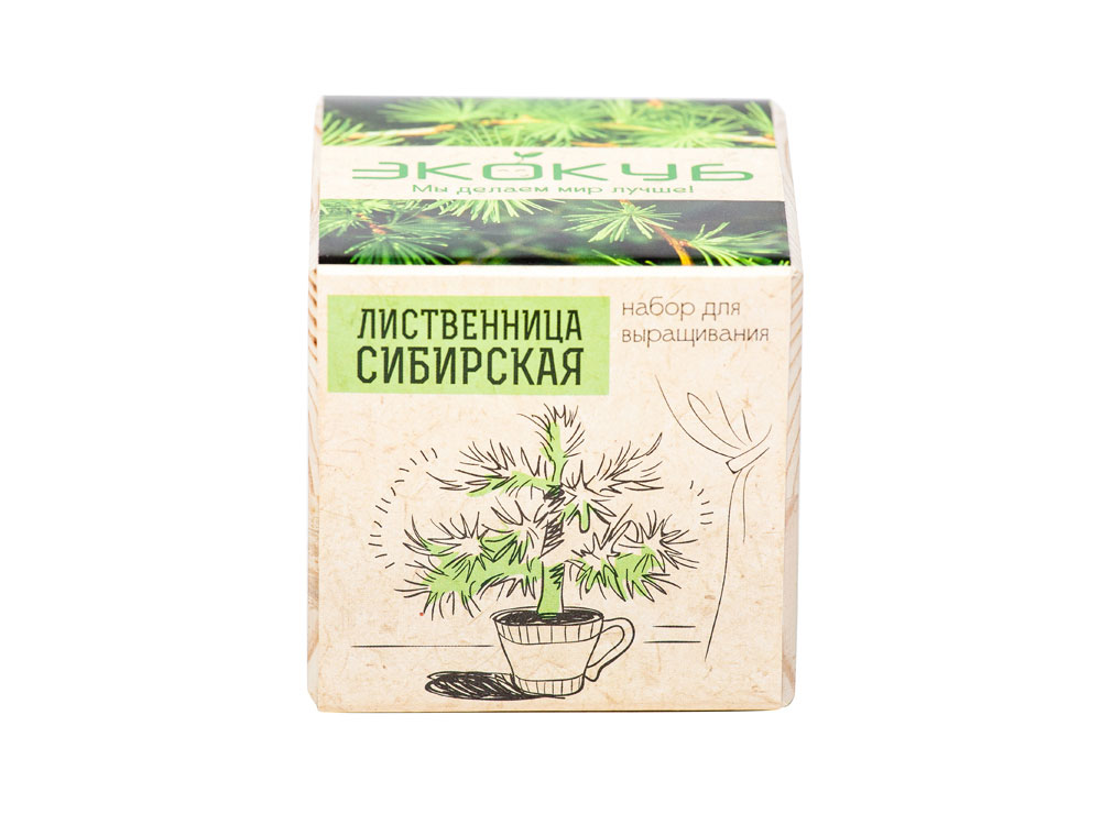 Набор для выращивания Экокуб Classic Лиственница Сибирская-2