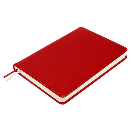 Ежедневник City Buffalo А5, Красный-2