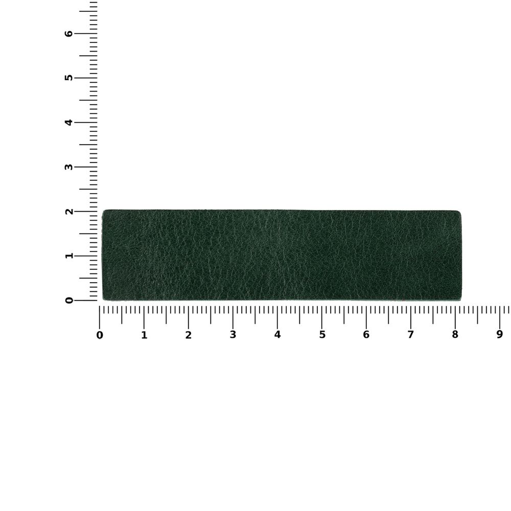 Лейбл кожаный Pasek, S, зеленый-2