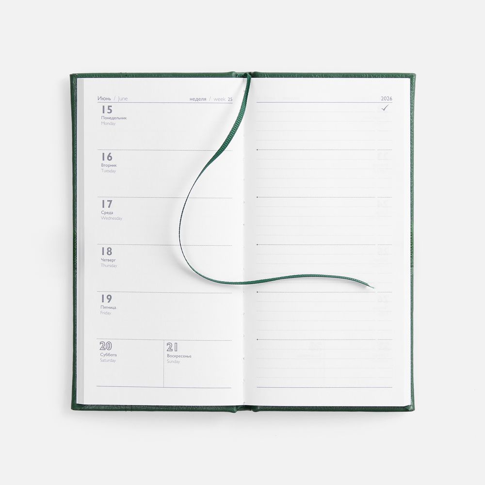 Еженедельник Baza, датированный, зеленый-5