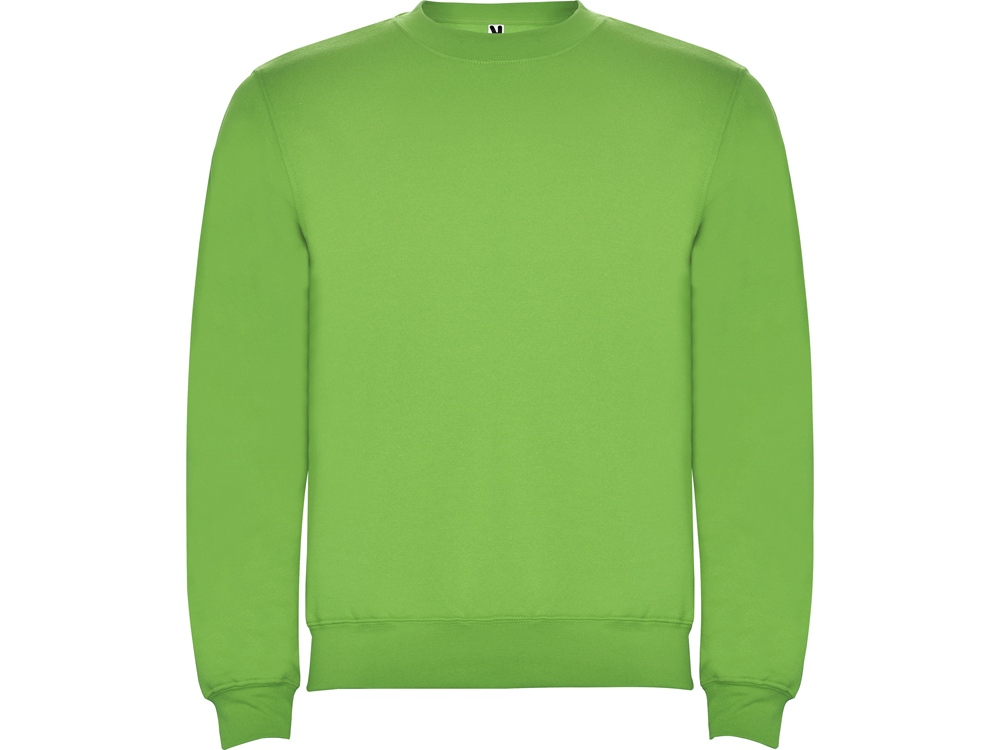 Свитшот с начесом Clasica детский, зеленое яблоко-0