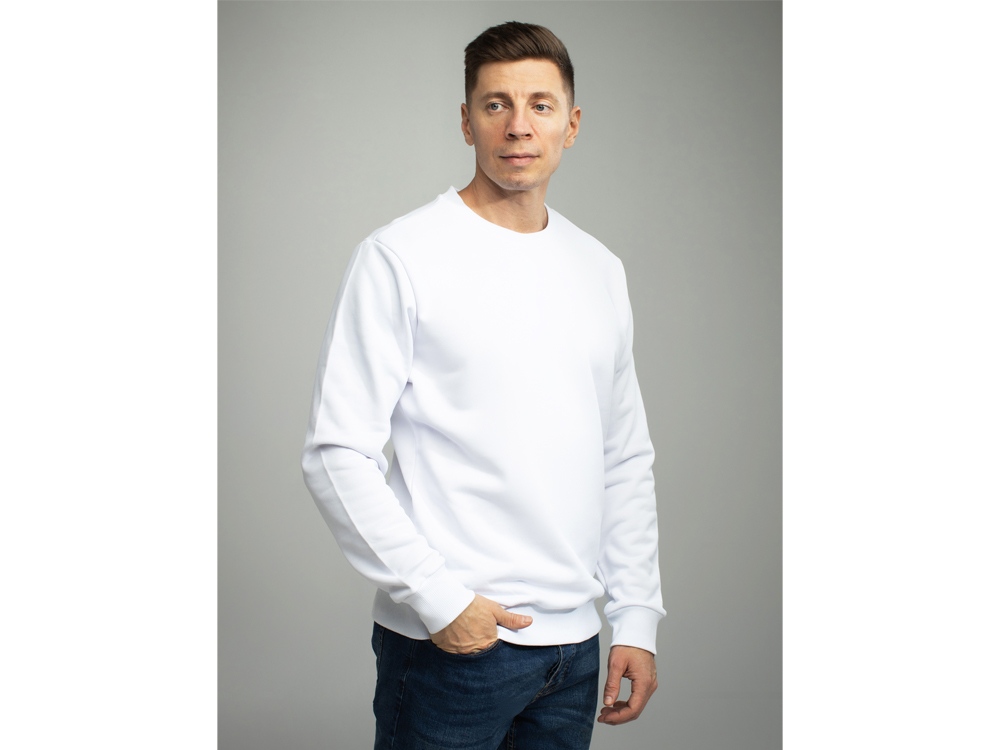 Толстовка втачной рукав. Модель 1 (Футер петлевой) (Размер 46-176, Цвет Белый)-0