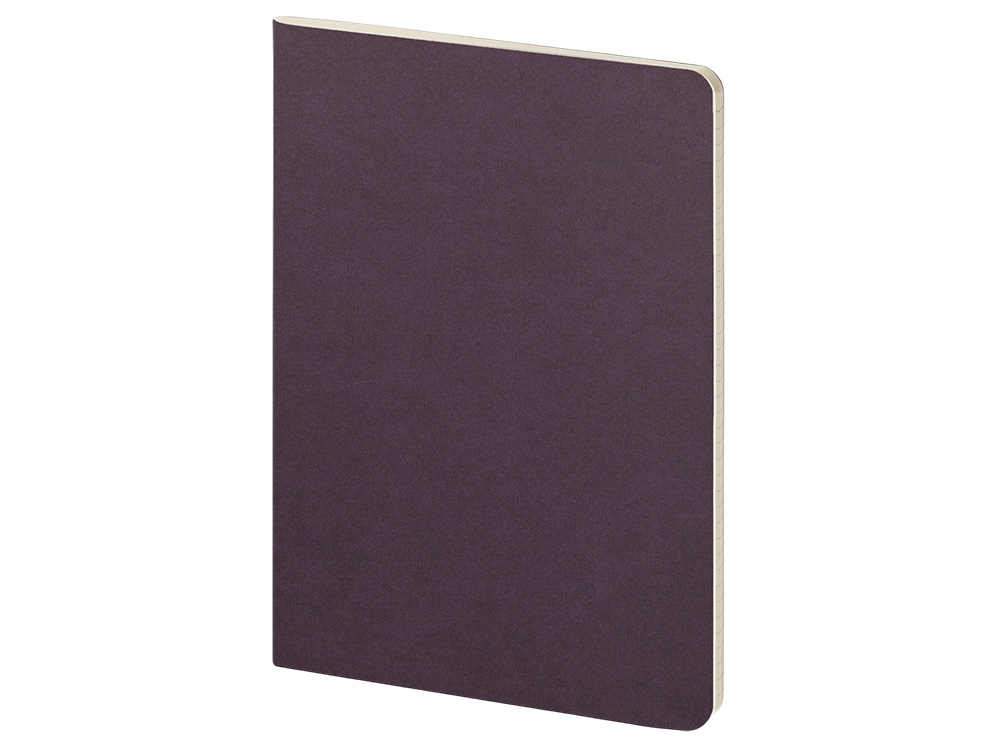 Бизнес тетрадь А5 Pragmatic, 40 листов в клетку, фиолетовый-0