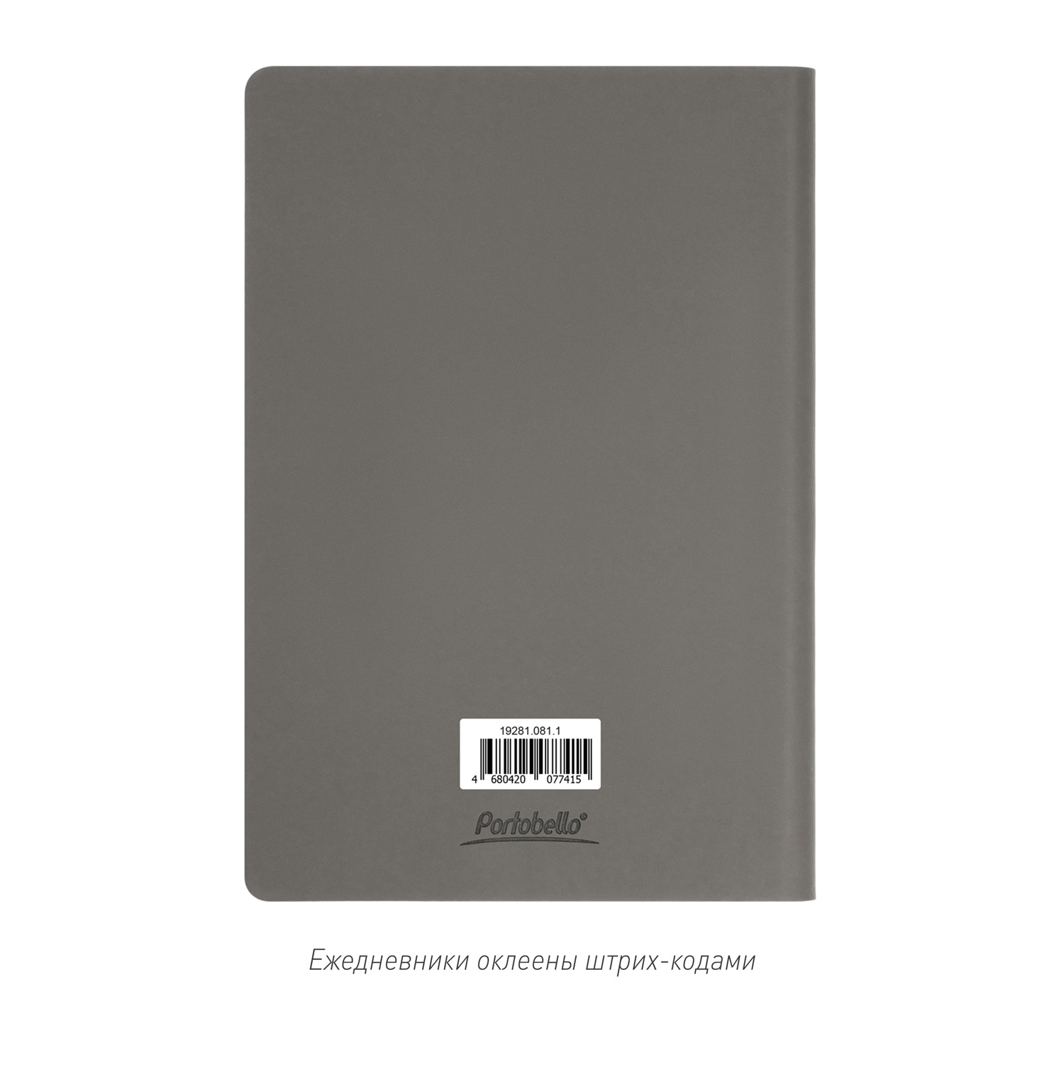 Ежедневник Star недатированный, серый (без упаковки, без стикера)-10