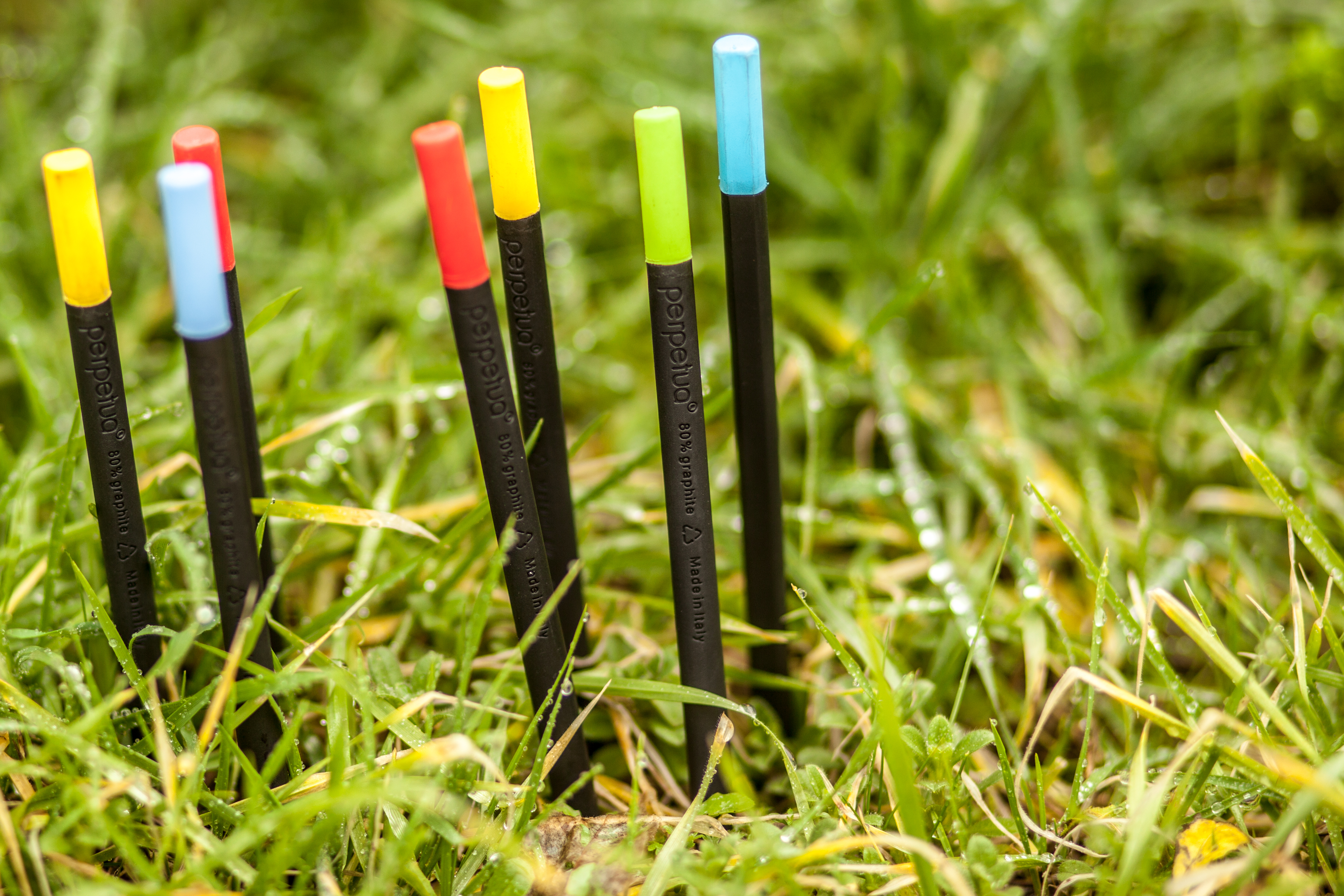 Карандаш графитовый Perpetua с голубым ластиком-3