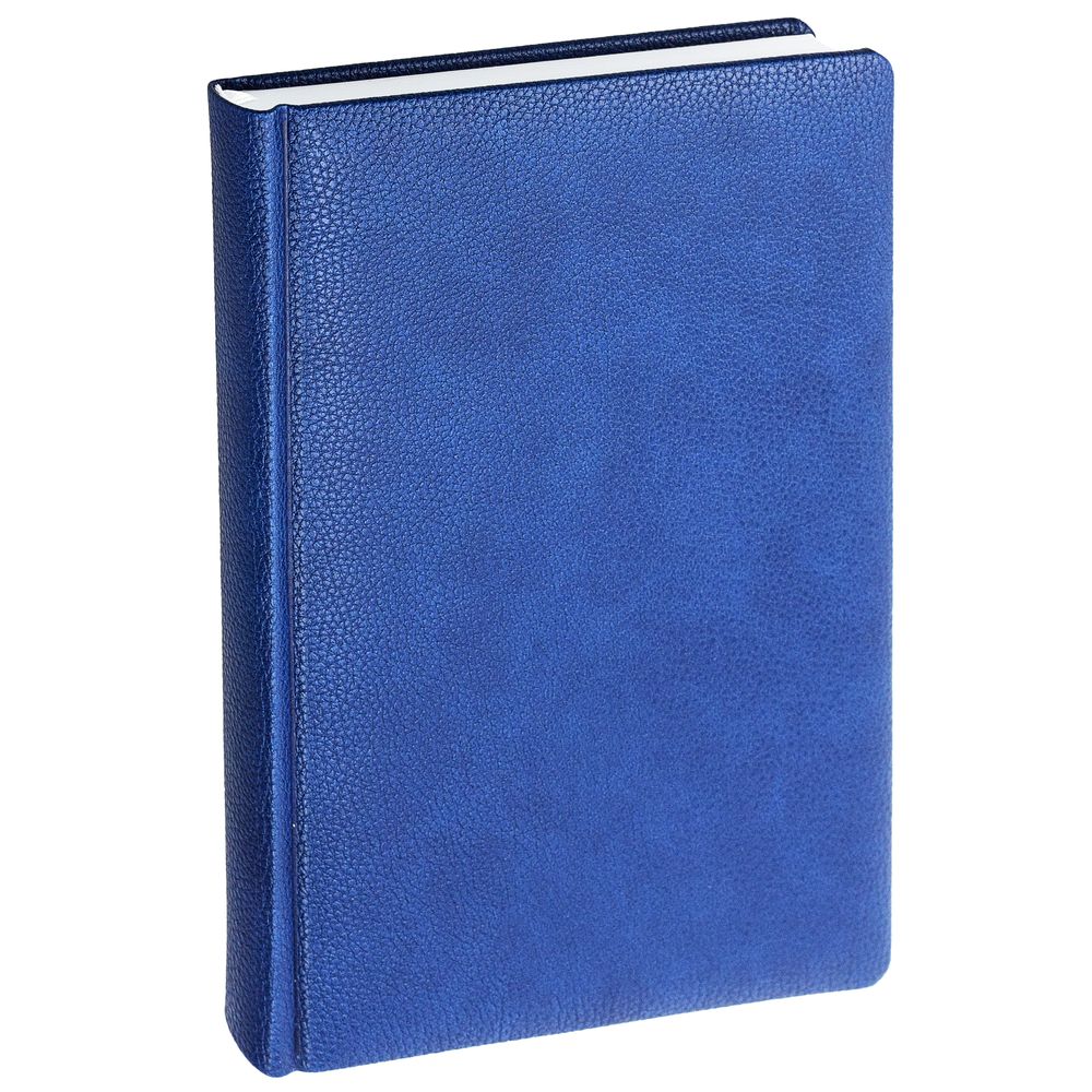 Ежедневник Sagrin, недатированный, синий-1