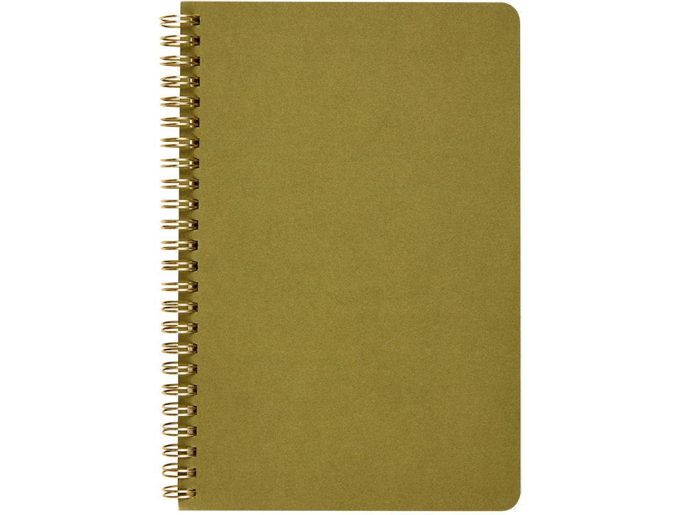 Бизнес тетрадь на гребне А5 Pragmatic, 60 листов в клетку, зеленый хаки-1