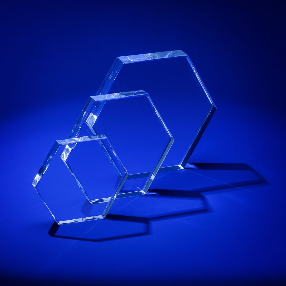 Награда Bee, большая-3