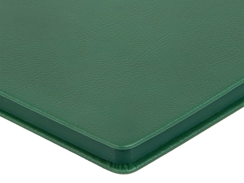 Ежедневник недатированный А5 Megapolis Nappa, зеленый-4