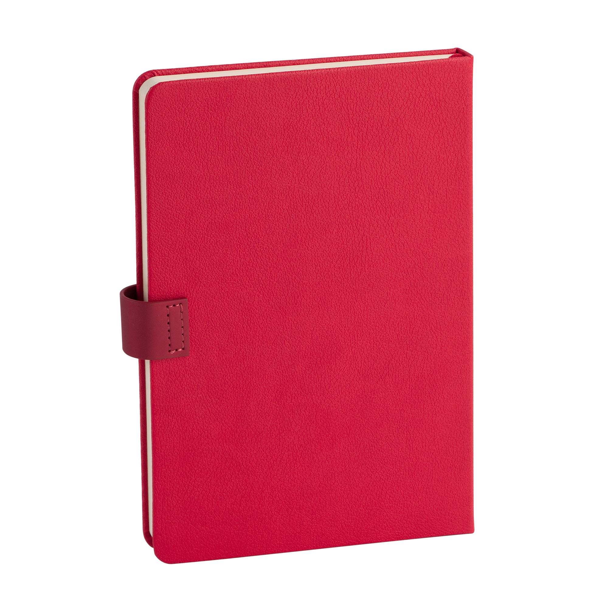 Ежедневник недатированный "Монти", формат А5-2