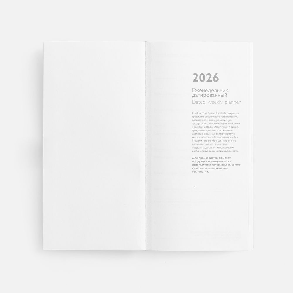 Еженедельник Baza, датированный, серый-3