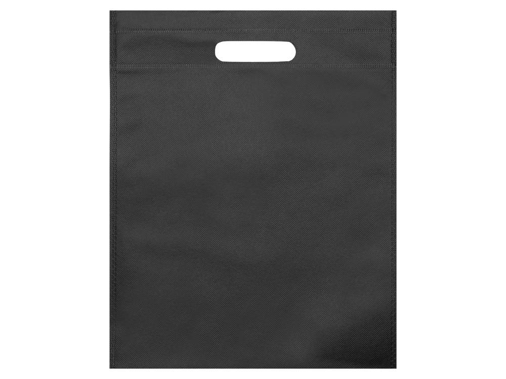 Сумка для выставок Prime, черный-2