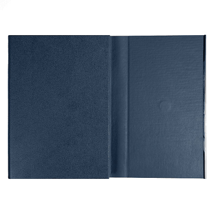 Ежедневник Alfa Bird Petrus A5, Синий-2