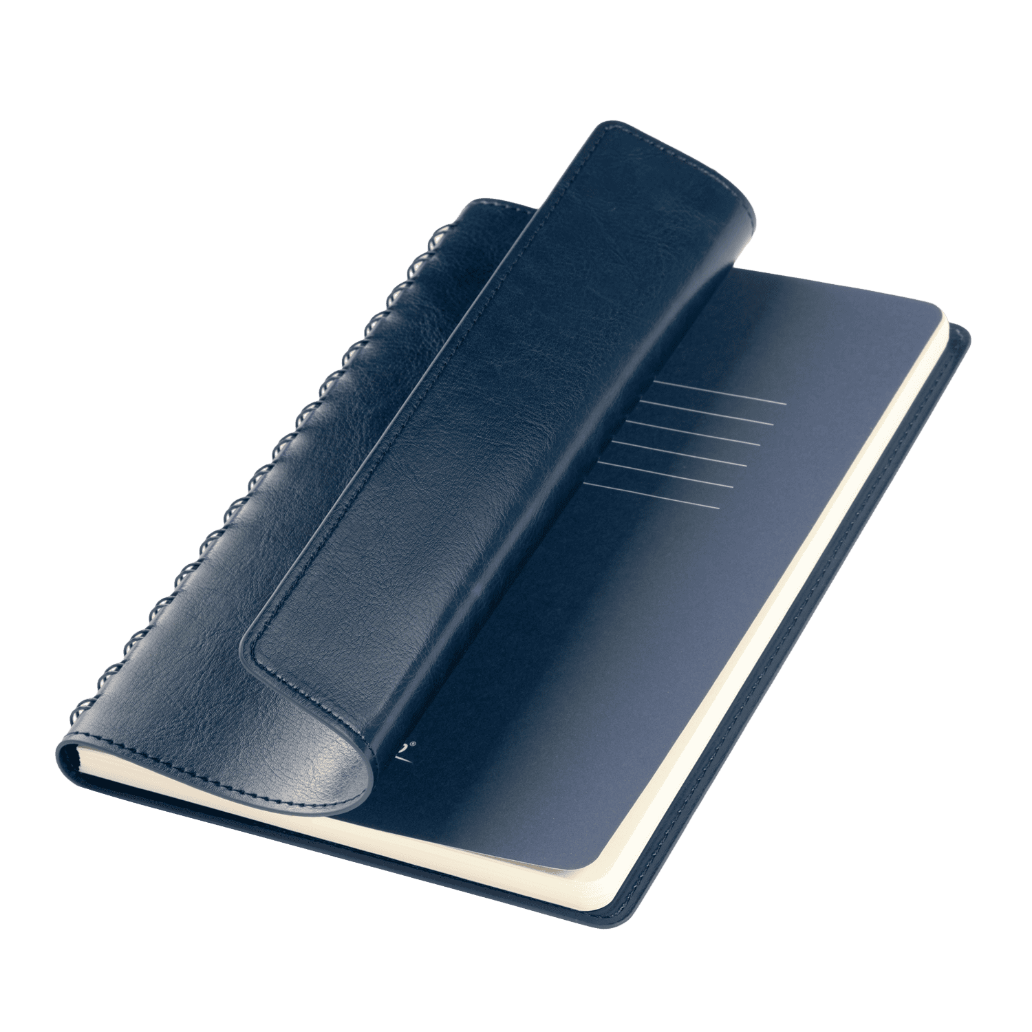 Ежедневник Vista Neo недатированный, синий-0