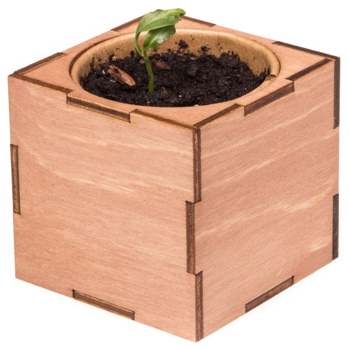 Набор для выращивания «Экокуб Lite», сирень-3