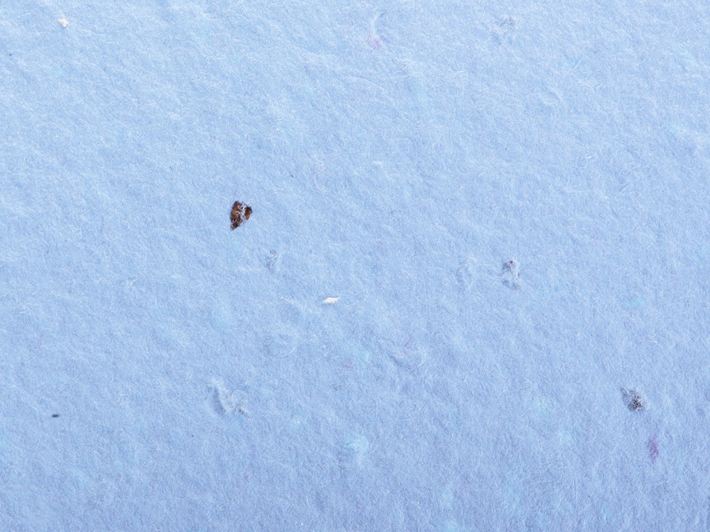 Живой блокнот с семенами цветов, А6, синий-6