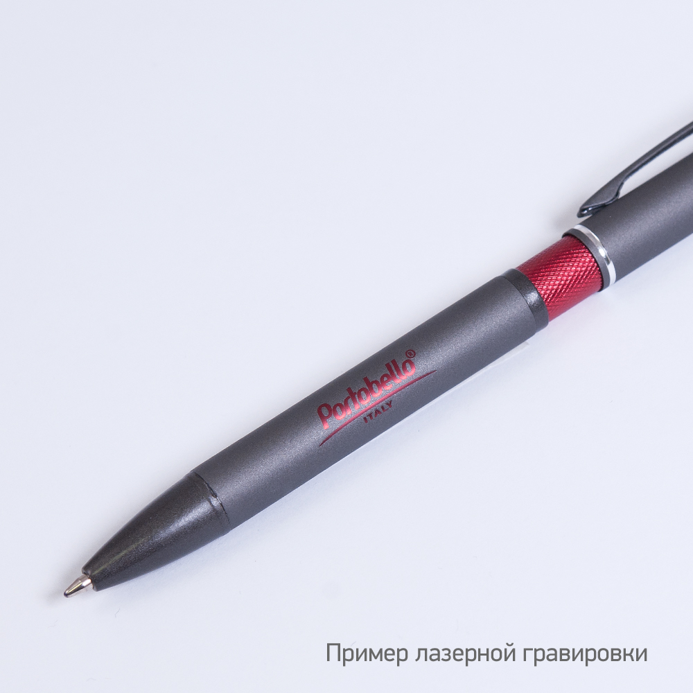 Шариковая ручка АйПи Хамелеон (IP Chameleon), красная-6