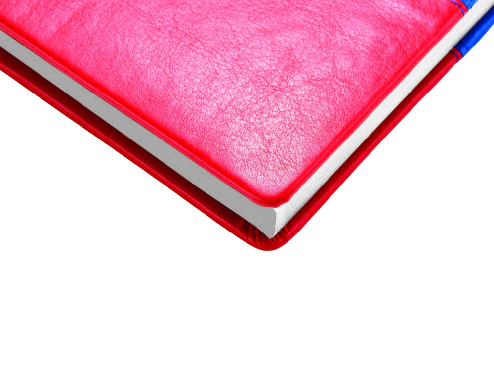 Ежедневник недатированный А5+ Россия. Флаг-3