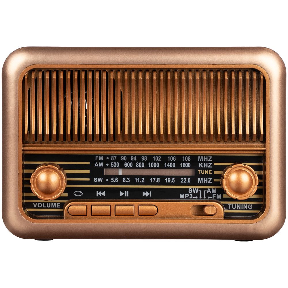 Bluetooth-колонка с радио Beatnik, коричневая-1