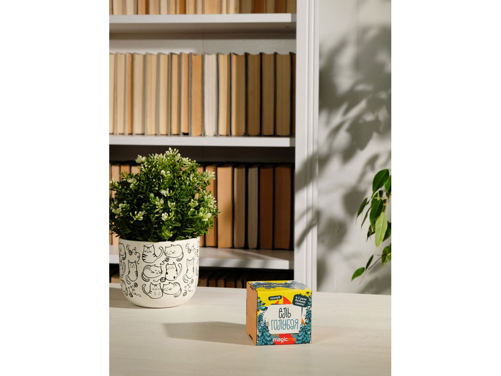 Набор для выращивания Экокуб Magicme Ель Голубая-4