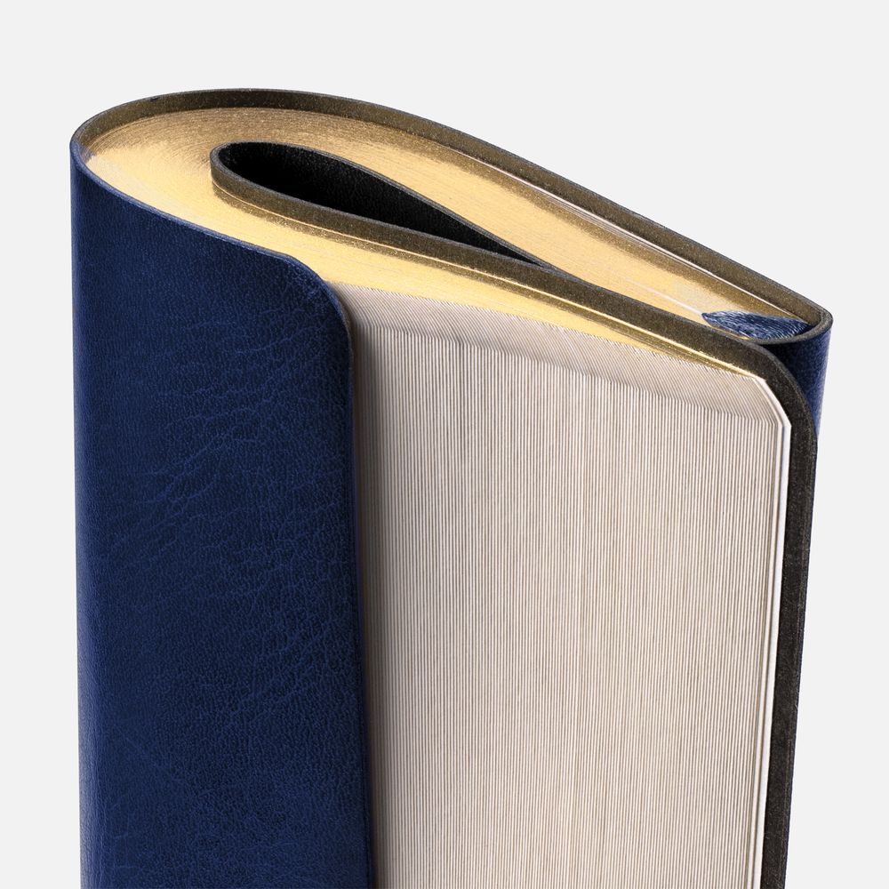 Ежедневник Nebraska Flex, недатированный, синий с золотистым-3