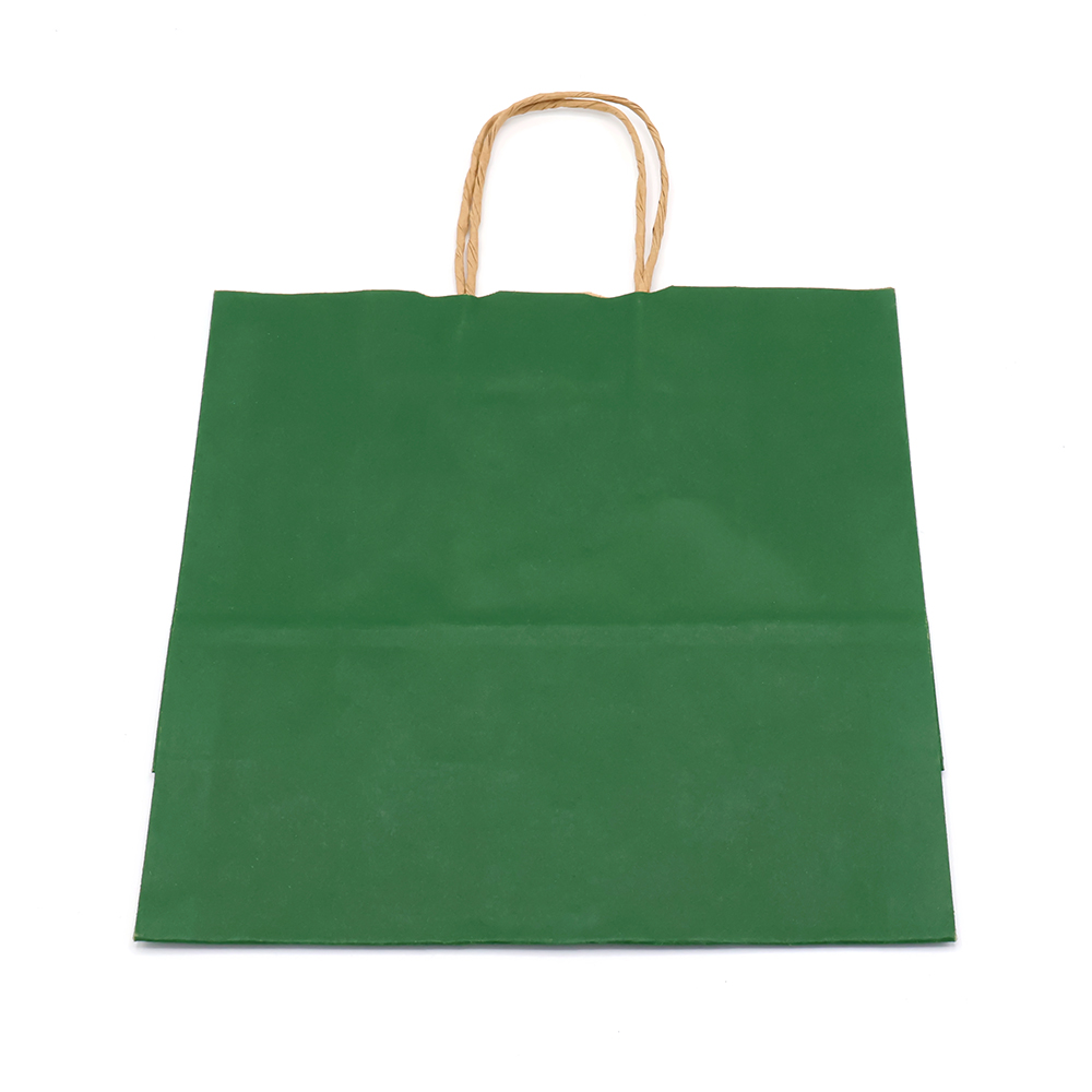 Пакет бумажный HAYA, Папоротниковый-1