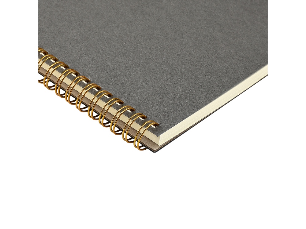 Бизнес тетрадь на гребне А5 Pragmatic, 60 листов в клетку, серый-2