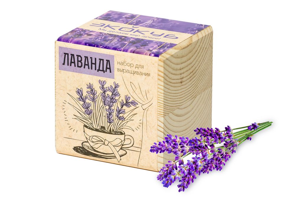 Набор для выращивания «Экокуб», лаванда-0