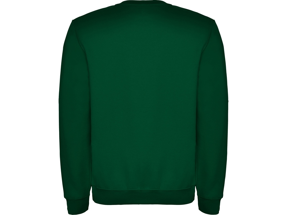 Свитшот с начесом Clasica унисекс, бутылочный зеленый-1