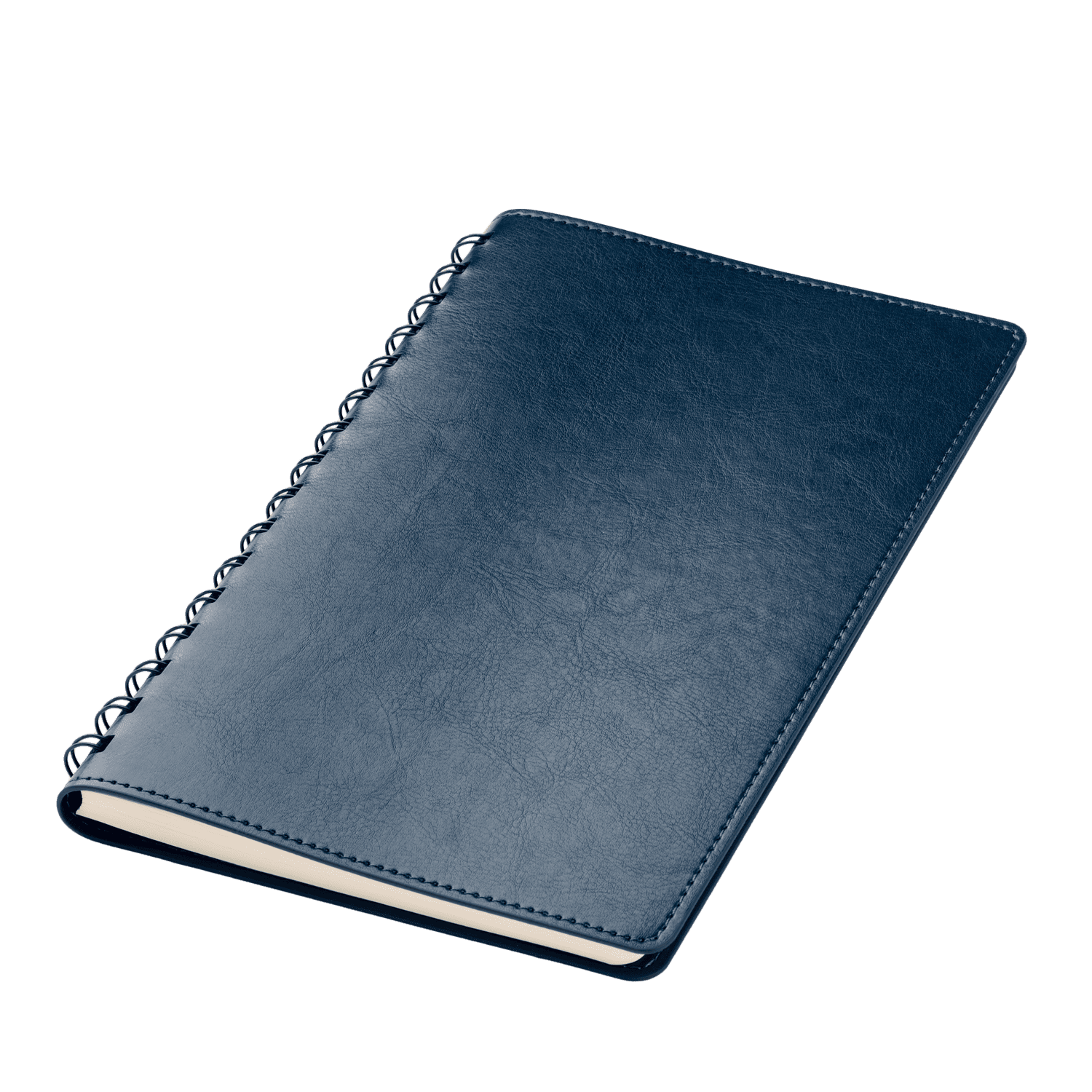 Ежедневник Vista Neo недатированный, синий-1