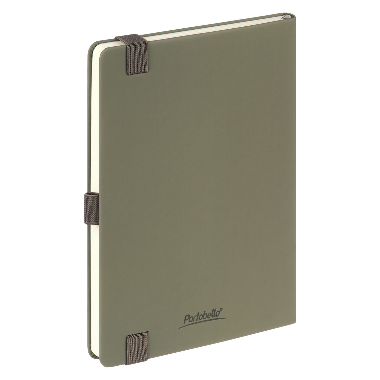 Ежедневник Alpha недатированный, серый/бирюзовый-5