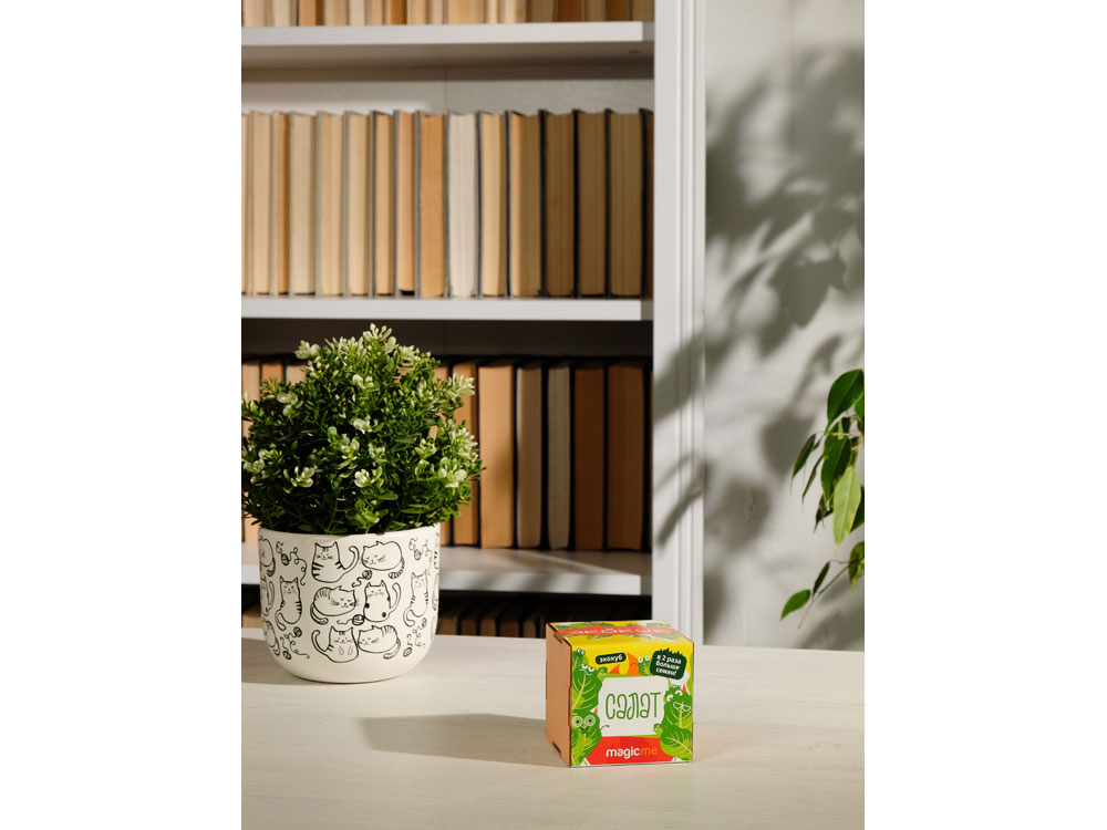 Набор для выращивания Экокуб Magicme Салат-4