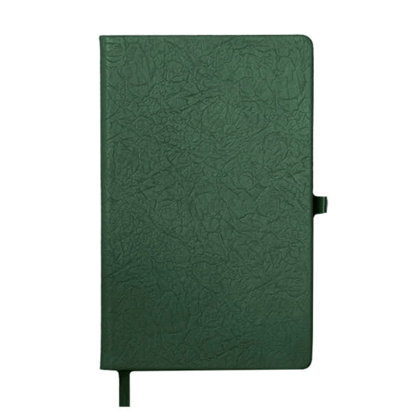 Ежедневник недатированный Starry , формат А5, в клетку, зеленый-1