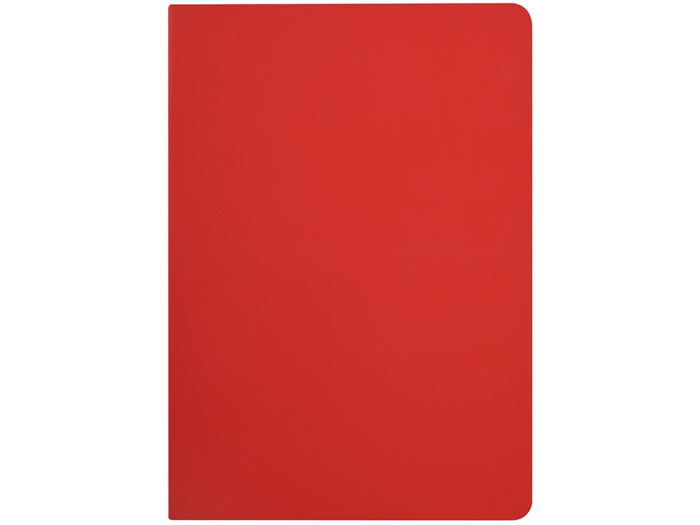 Бизнес-тетрадь А5 Pragmatic Contrast, 40 листов в клетку, красный с темно-серым срезом-2