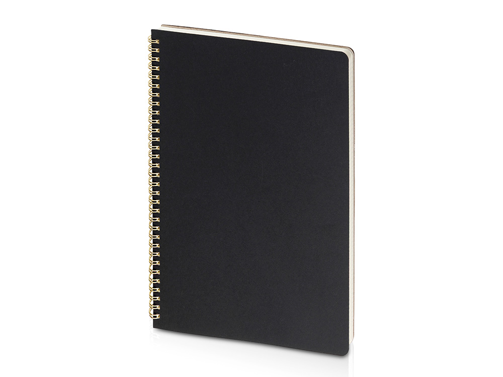 Бизнес тетрадь на гребне А4 Pragmatic, 100 листов в клетку, черный-0