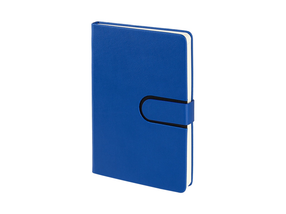 Ежедневник недатированный А5 Status, синий-2
