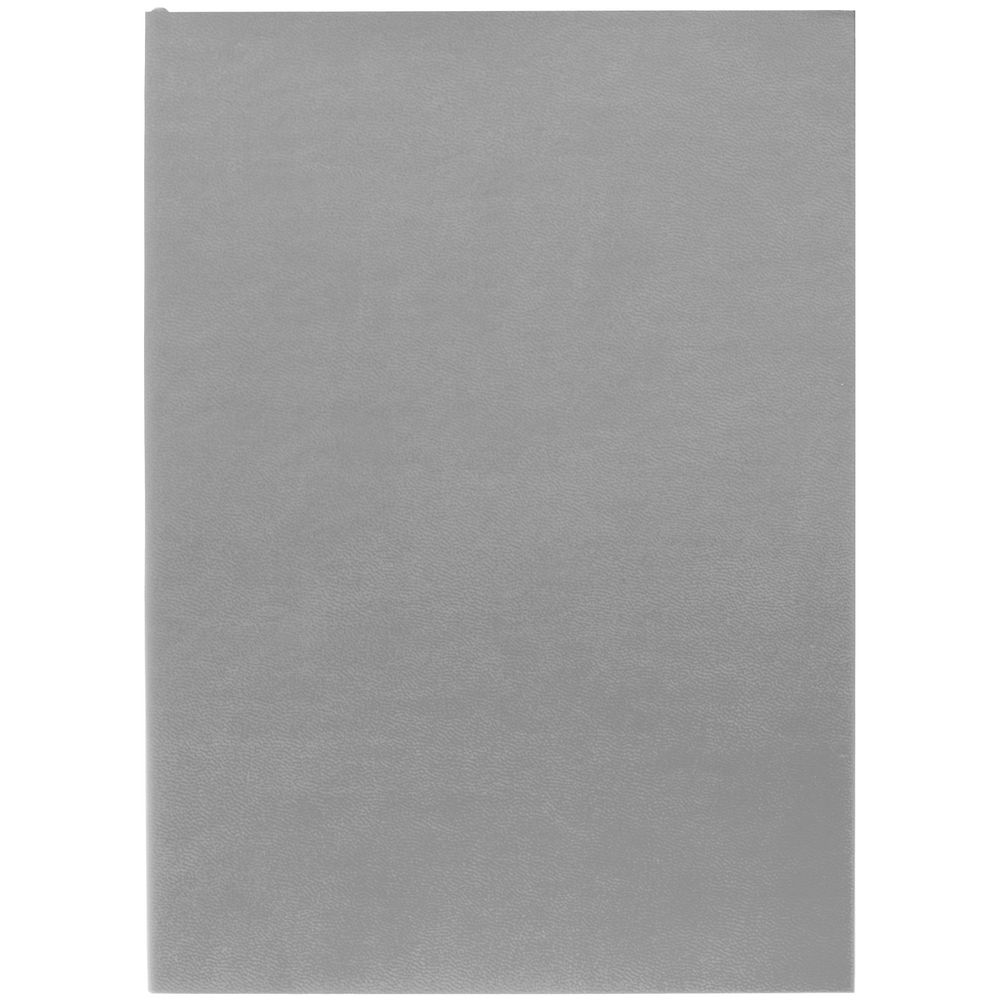 Ежедневник Flat Light, недатированный, серый-1