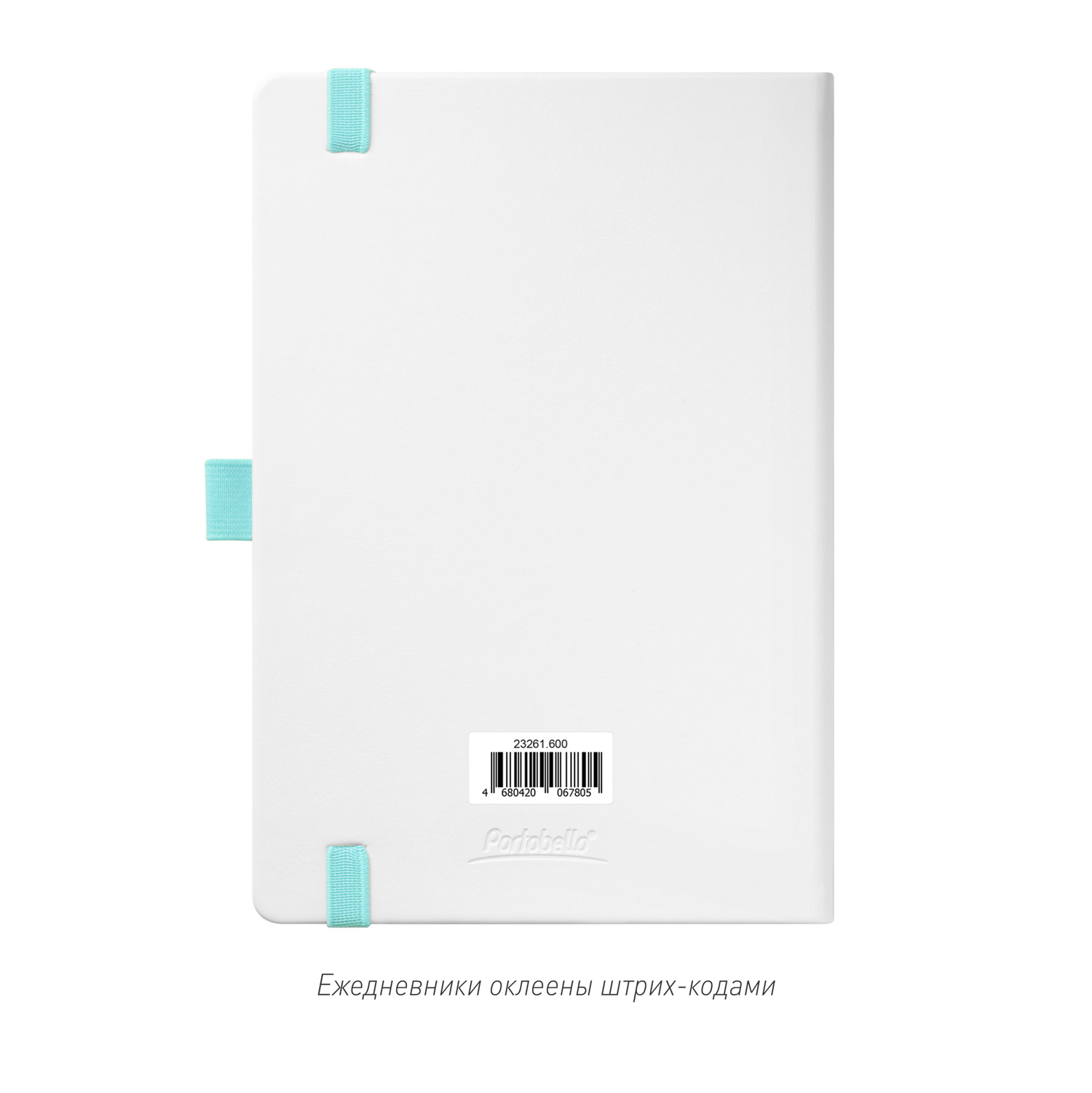 Ежедневник Арктик (Arctic) недатированный, белый/бирюзовый-13