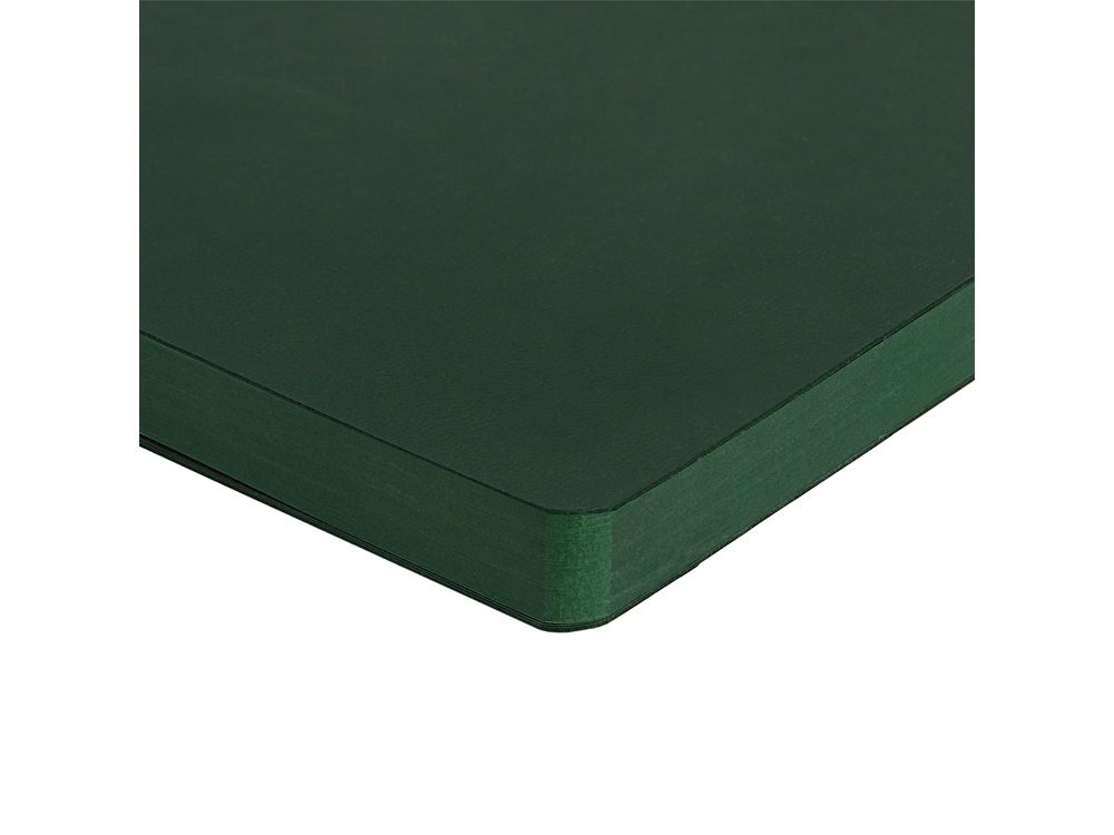 Ежедневник недатированный А5 Megapolis Color Flex, темно-зеленый-4