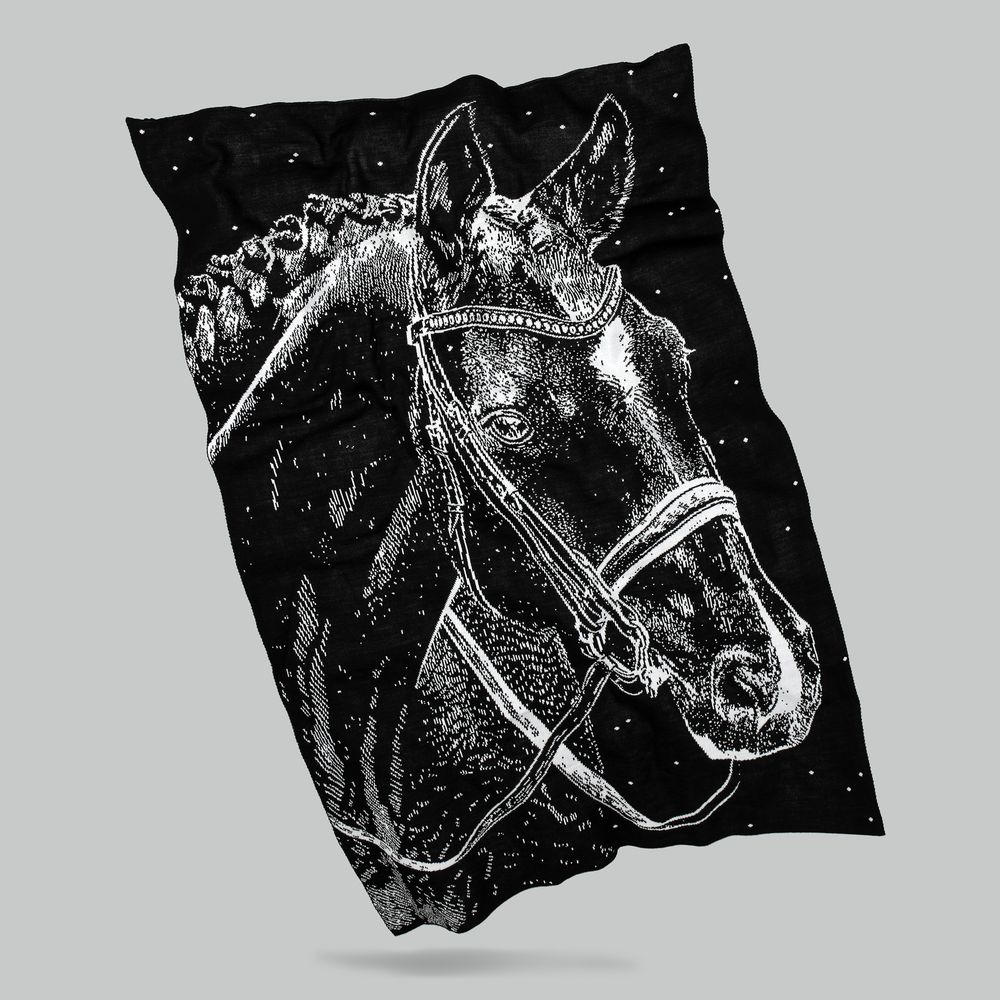 Плед «Вороной»-2