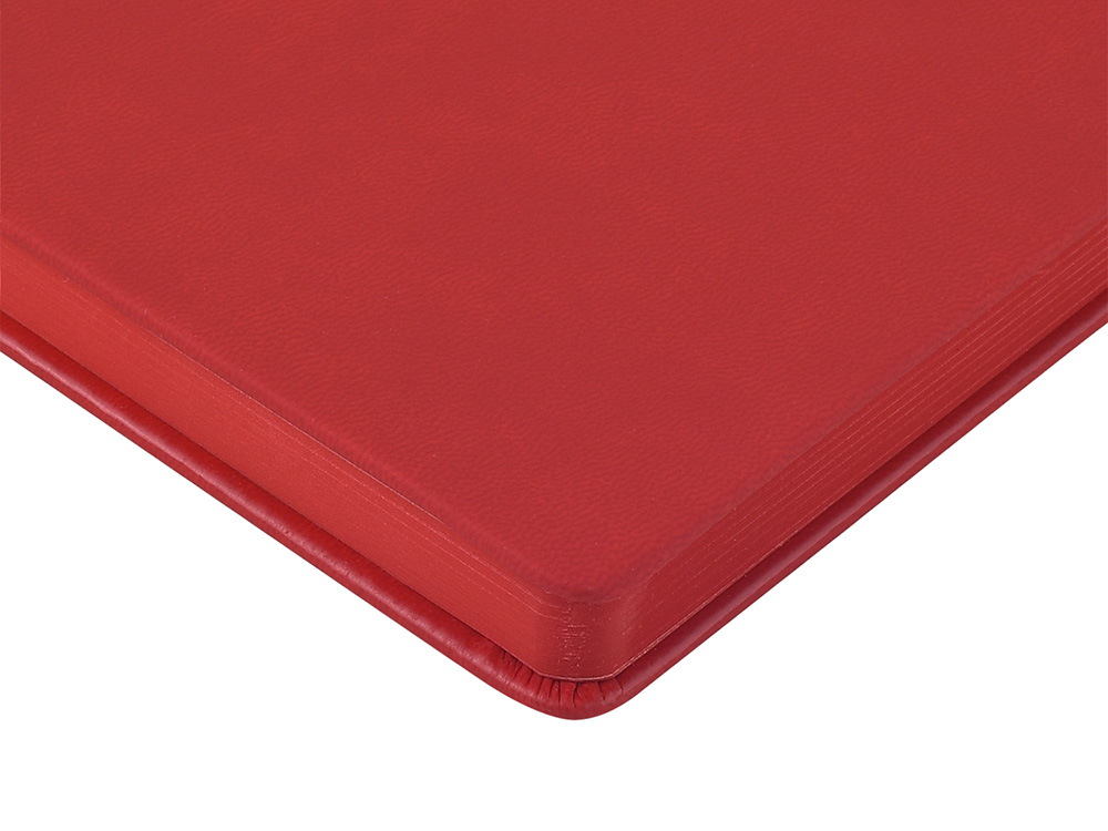 Ежедневник недатированный А6+ Megapolis Color, красный-5