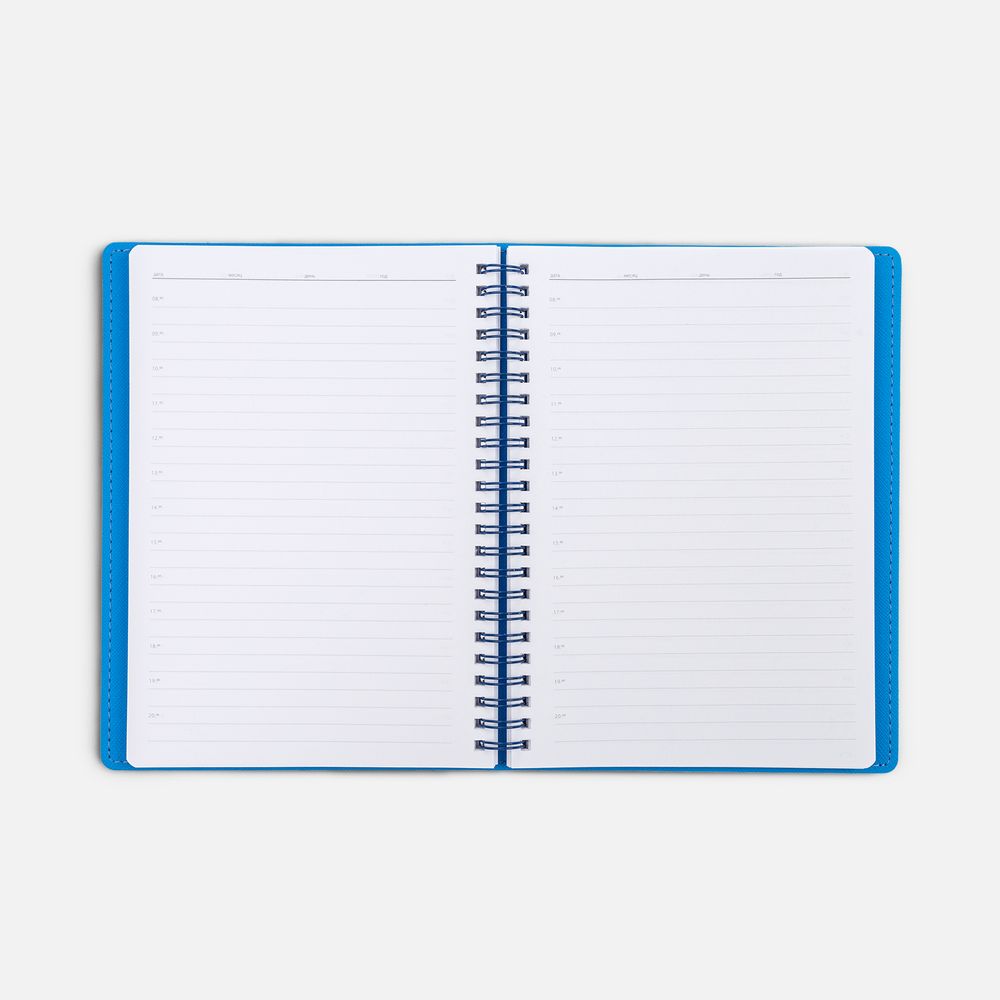 Ежедневник Spring Shall, недатированный, синий-4