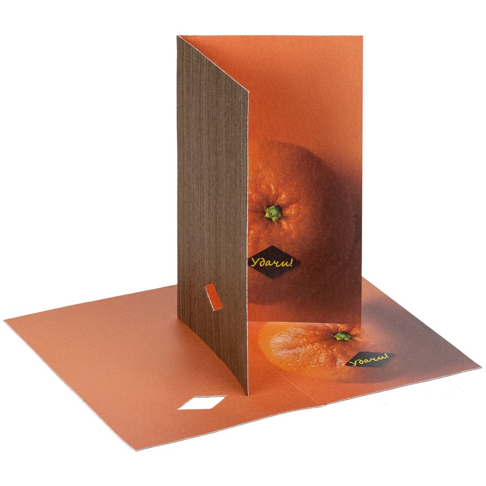 Набор Tangerine Dream, оранжевый-3