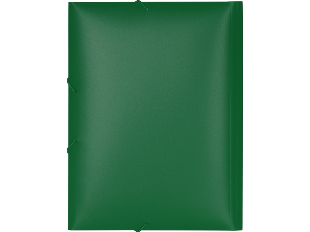Папка формата А4 на резинке, зеленый-3