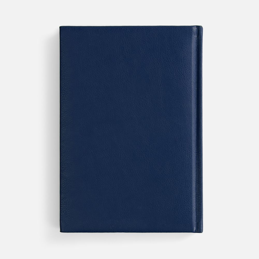 Ежедневник Baza, датированный, синий-2