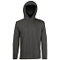 Футболка мужская "Long Sleeve Hooded T", серый